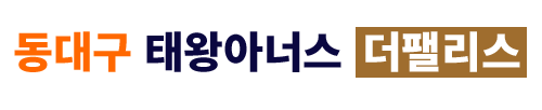 동대구 태왕아너스 더팰리스